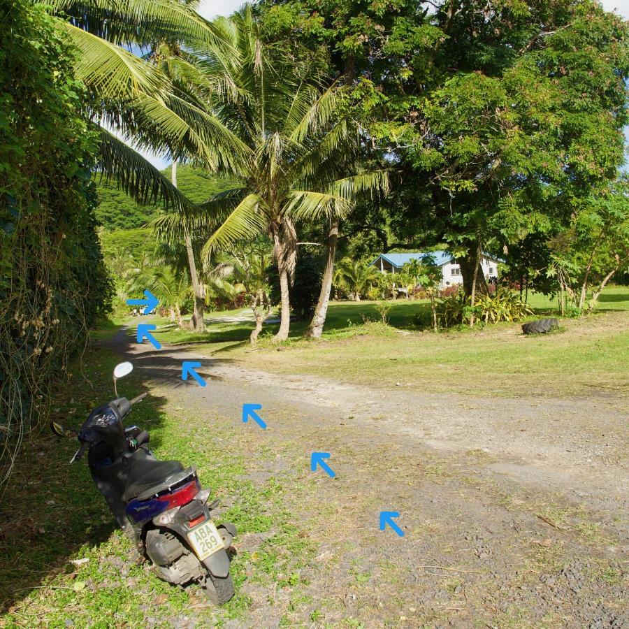 'Are Pepe One Bedroom Container Style Unit Rarotonga Bagian luar foto