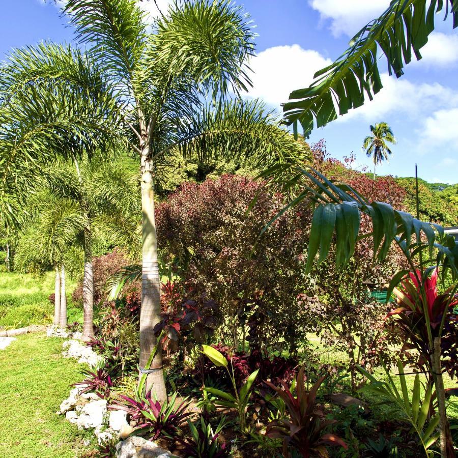 'Are Pepe One Bedroom Container Style Unit Rarotonga Bagian luar foto
